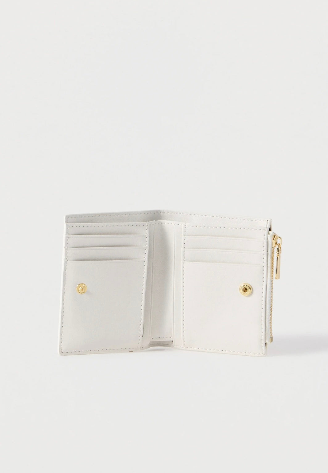 ALDO VERVENE WALLET